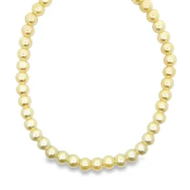 Pearl Beaded Necklace (H70)