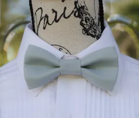 Platinum Gray Bow Tie (219)