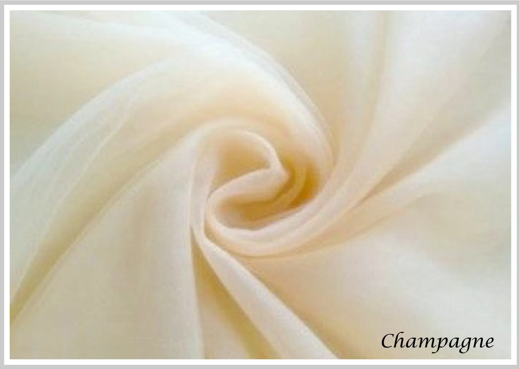 "Darya" - Lace Edge Cathedral Bridal Veil - Available in Champagne, White and Ivory