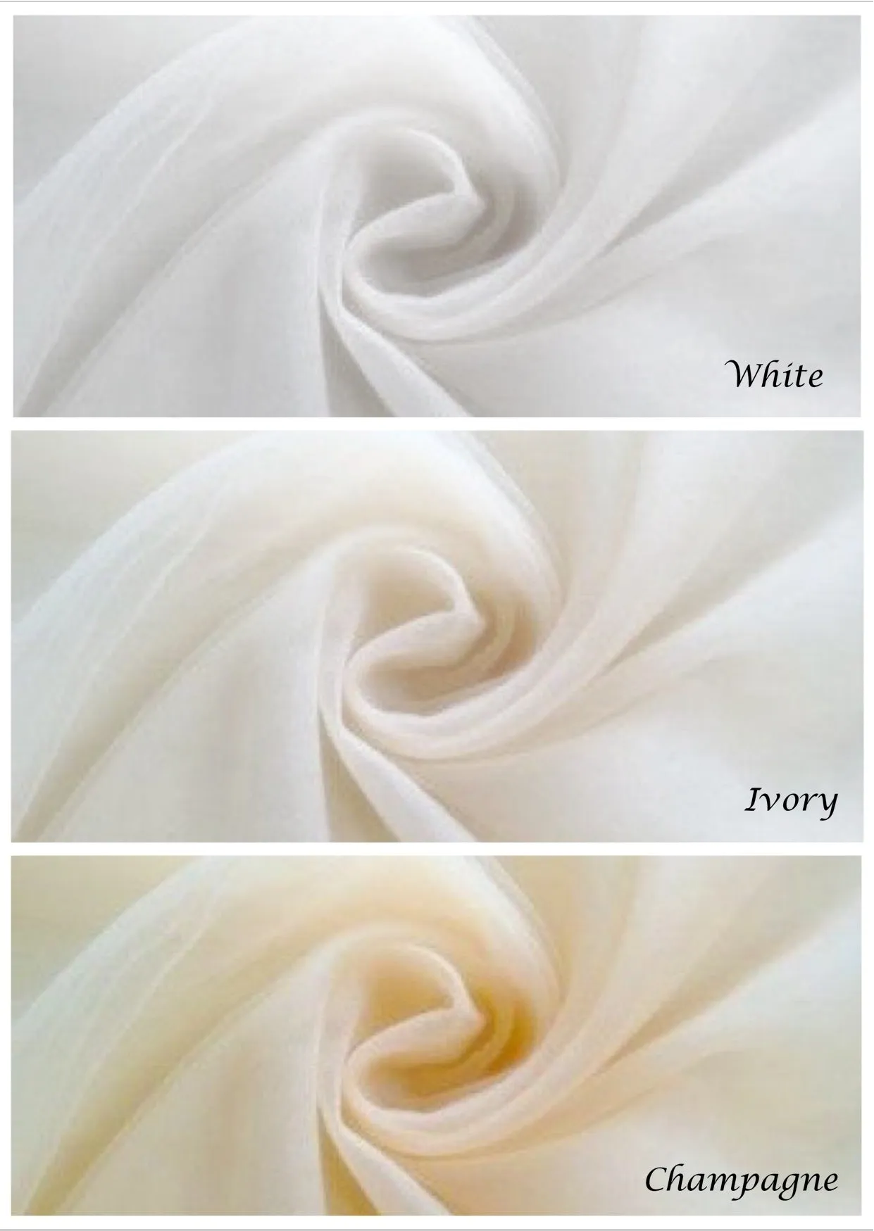 "Darya" - Lace Edge Cathedral Bridal Veil - Available in Champagne, White and Ivory
